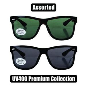 Sunglass pre/unisex modern wayfarer