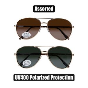 Sunglass pol/unisex classic aviator