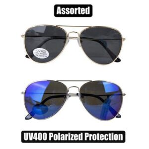 Sunglass pol/unisex classic aviator